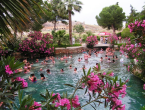 Das antike Becken ist sehr beliebt bei den Pamukkale Besuchern